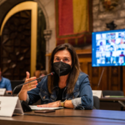 Plenari 8 de juliol de 2021