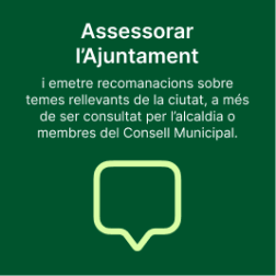 Assessorar l’Ajuntament